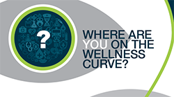 The wellness curve Image